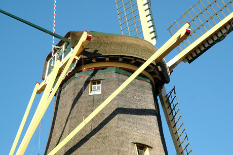 Molen