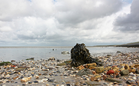 wadden