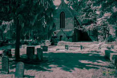 MJf Cemetaryfiles