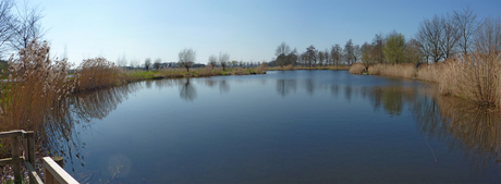 Panorama van de visvijver