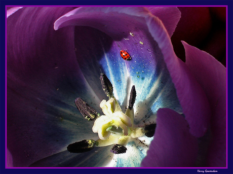 Eten of gegeten worden