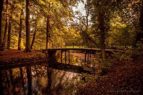 Herfst in s'graveland.