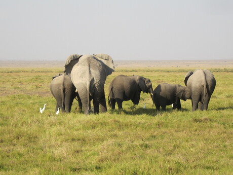 Mother and kids