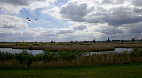 kinderdijk