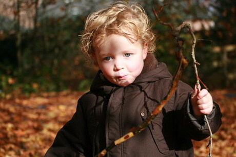 prachtige herfstdag