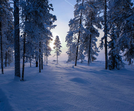 Lapland wintertime