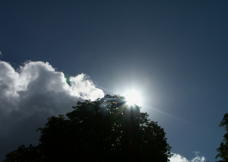 Zomerse dag :)