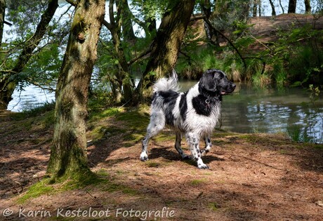 Wietse aan het Blauwe Meer