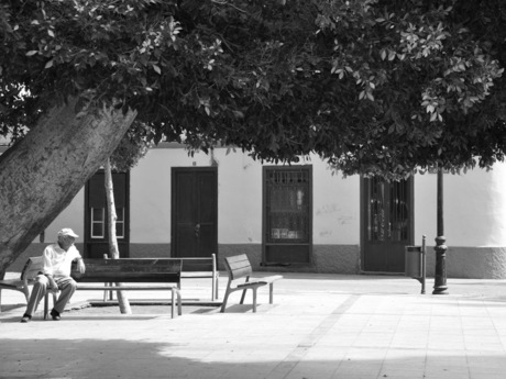 Chillin' in the shade