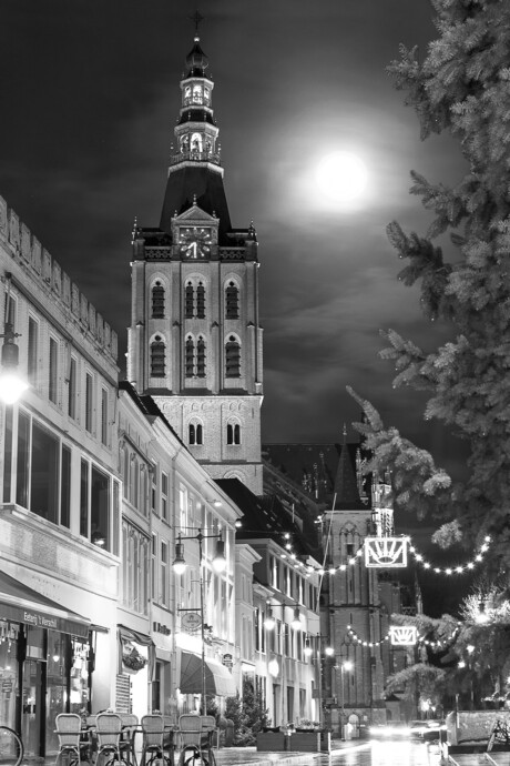 Natuurlijke feestverlichting in 's-Hertogenbosch