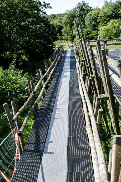 de brug in het Amsterdamsebos