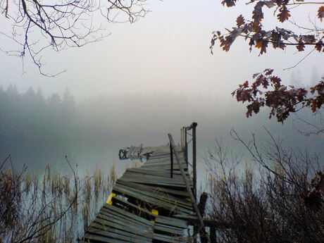 Zweden in de mist