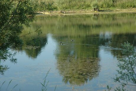 Weerspiegeling in het water