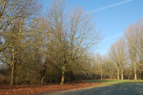 Eerste zonnestraaltjes