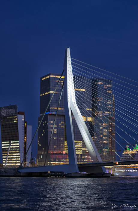 Rotterdam is geen illusie