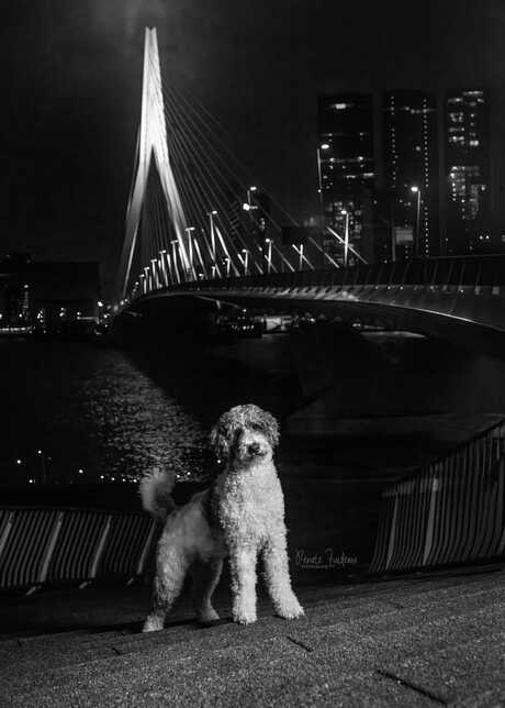 City Lights by night