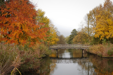 Herfstkleuren