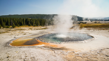 Yellowstone 