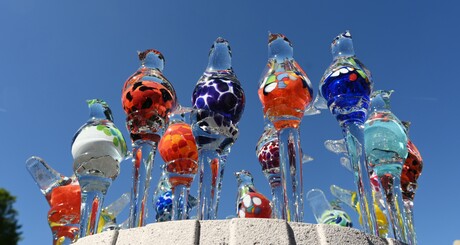Vogeltjes