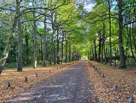 20241025  140859  Herfst Landgoed Ockenburg   Loosduinen  Mobile  25 okt 2024  