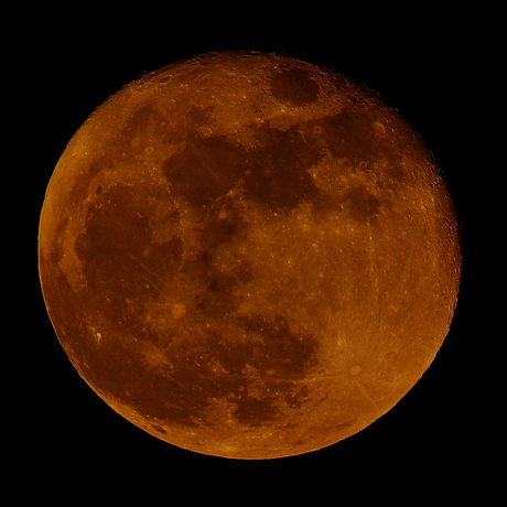 Oranje boven🎶🎶