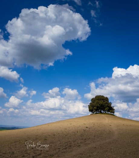 Toscane 