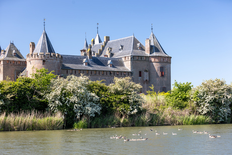 Muiderslot 
