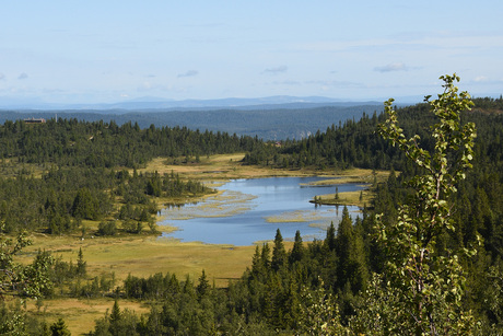 Uitzicht tussentopje