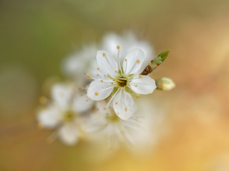 Spring is in the air!
