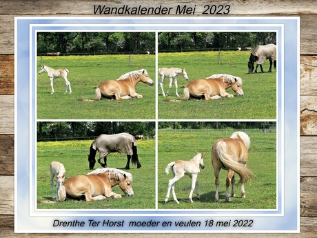 Collage    WANDKALENDER   voor Mei  2023  fotos  Drenthe  18 mei 2022  