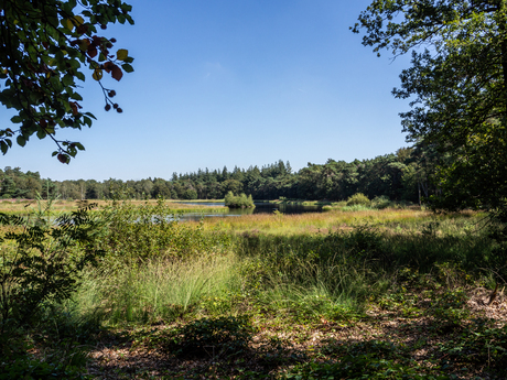 doorkijkje