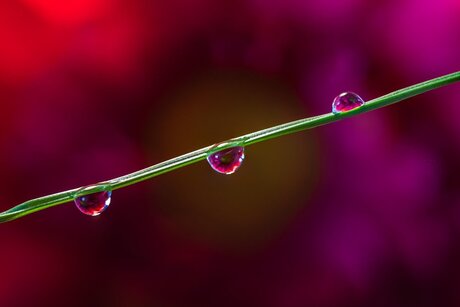 Droplets