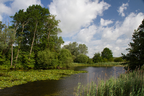 ongerepte natuur