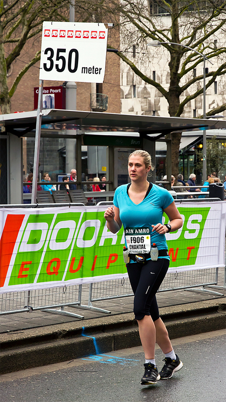 Marathon Rotterdam 2013-14
