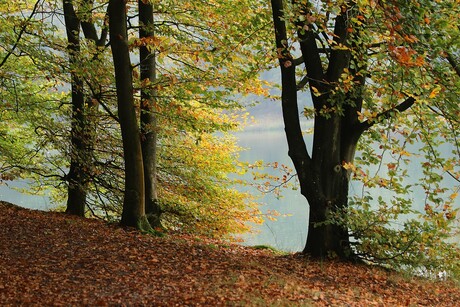 Herfstkleuren