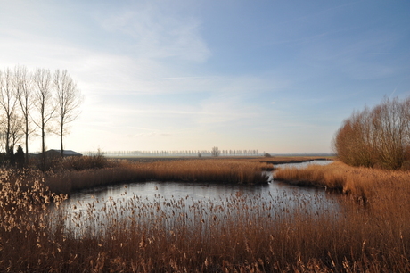 Natuurgebied nabij Aardenburg
