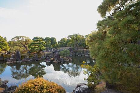 Japanse tuin