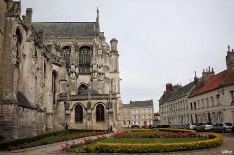 Notre Dame in de steigers