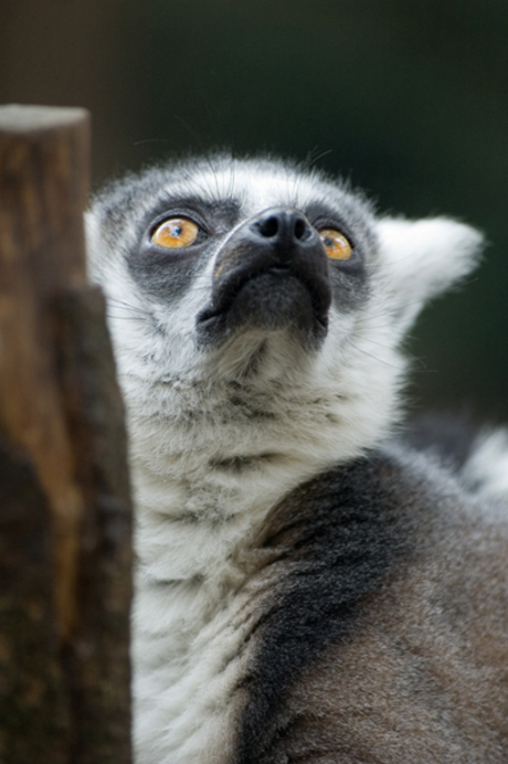 Al het goede komt van boven