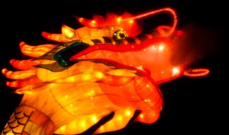 Big Dragon / Festival of lights Emmen