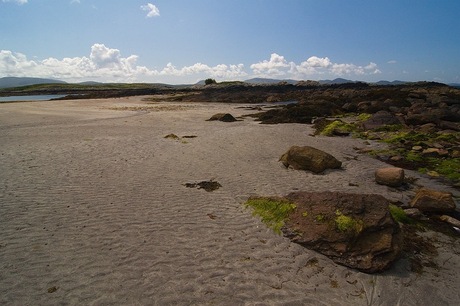 Het groen van Ierland 5