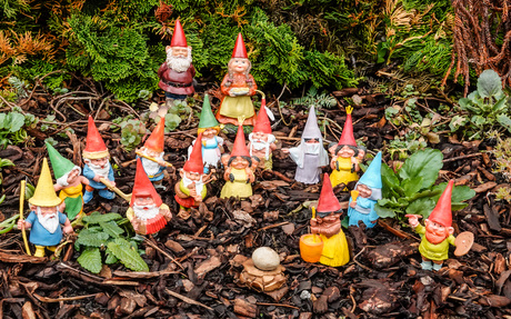 Schilder Kabouter vroeg...