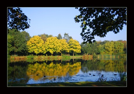 Herfst in Groningen