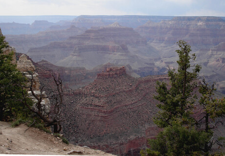 GRAND CANYON 