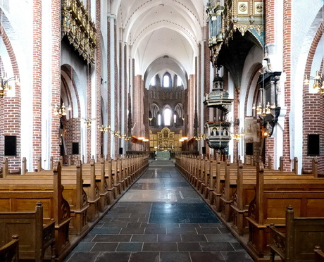 Dom van Roskilde,