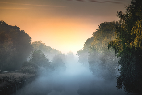 Foggy days, spiritual ways🕉️🌹🙏🏻