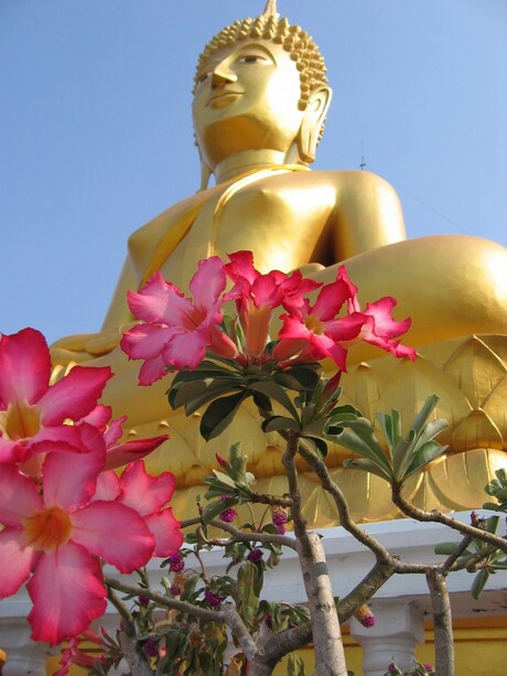 Groot boeddha beeld bij Buriram