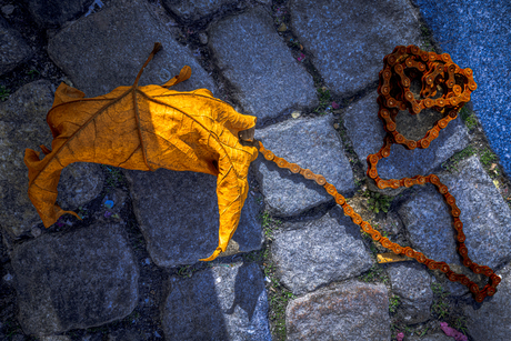Natuur geeft en neent   soms  in gelijke kleuren 