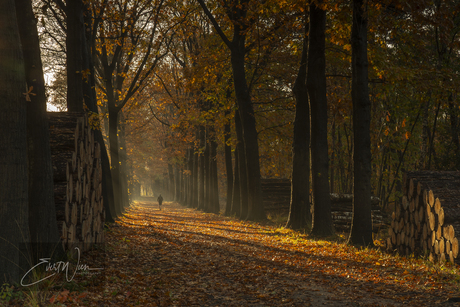 Zonopkomst in de herfst 