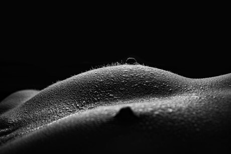 Chest/Breast with water